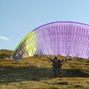 ���������� ��������, ���� ������� �������, 38 ���, ������������ ��� ������, ����� � ���������, c�������� ���������, ���������