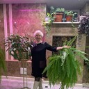 ���������� ������, ���� ������� �������, 75 ���, ������������ ��� ����� � ���������, c�������� ���������, ���������