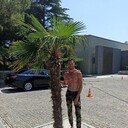 ���������� ������, ���� ������� ���������, 36 ���, ������������ ��� ������, ����� � ���������, c�������� ���������, ���������