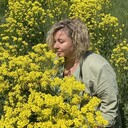 ���������� �����������, ���� ������� �����, 44 ����, ������������ ��� ����� � ���������, c�������� ���������