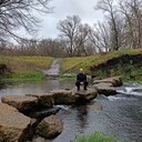 ���������� ������, ���� ������� ����, 36 ���, ������������ ��� ������, ����� � ���������, c�������� ���������