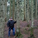 ���������� �������, ���� ������� ����, 36 ���, ������������ ��� c�������� ���������