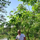 ���������� ������-��-����, ���� ������� ����, 36 ���, ������������ ��� ������, ����� � ���������