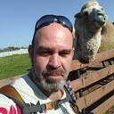  ,   , 50 ,   ,   