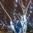 ���������� ������, ���� ������� �������, 30 ���, ������������ ��� ������, ����� � ���������, c�������� ���������