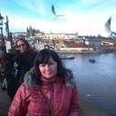  ,   , 51 ,     , c 
