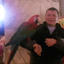 ���������� ���������, ���� ������� ���������, 48 ���, ������������ ��� ����� � ���������, c�������� ���������