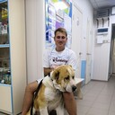 ���������� ���������, ���� ������� �����, 31 ���, ������������ ��� ����� � ���������, c�������� ���������