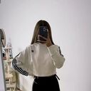 ���������� ������, ���� ������� ���������, 24 ����, ������������ ��� ������, ����� � ���������, c�������� ���������, ���������