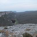 ���������� �����������, ���� ������� Vladimir, 43 ����, ������������ ��� ������