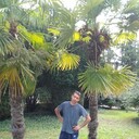 ���������� �������, ���� ������� �������, 41 ���, ������������ ��� ������, ����� � ���������, c�������� ���������