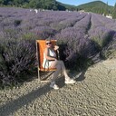 ���������� ������������, ���� ������� ����, 45 ���, ������������ ��� ����� � ���������, c�������� ���������