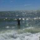 ���������� ��������������, ���� ������� ����, 48 ���, ������������ ��� ������, ����� � ���������, c�������� ���������