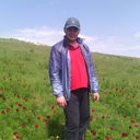 --,   , 40 ,   ,   , c 