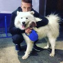 ���������� �������, ���� ������� ����, 29 ���, ������������ ��� ������, ����� � ���������, c�������� ���������