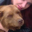  ,   , 41 ,   ,   , c 