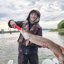 ���������� �����, ���� ������� �����, 37 ���, ������������ ��� ����� � ���������, c�������� ���������