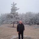  ,   Shako, 43 ,   ,   , 