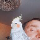  ,   , 47 ,     , c 