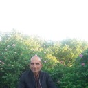 ���������� ������, ���� ������� Pargev, 58 ���, ������������ ��� ������, ����� � ���������, c�������� ���������