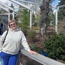 ���������� ������, ���� ������� ���, 52 ����, ������������ 