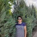  --,   , 57 ,   ,   , c 