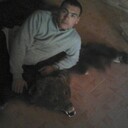   ,    , 33 ,   ,   