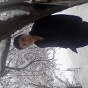 ���������� ������-����, ���� ������� ����, 29 ���, ������������ ��� ������, ����� � ���������, c�������� ���������