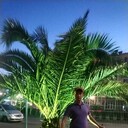 ���������� ������, ���� ������� ���������, 31 ���, ������������ ��� ������, ����� � ���������, c�������� ���������, ���������