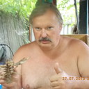  --,   , 66 ,   , 