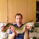 ���������� ������, ���� ������� ����, 51 ���, ������������ ��� c�������� ���������