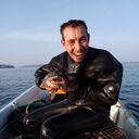 ���������� ���������, ���� ������� ����, 37 ���, ������������ ��� ������, ����� � ���������, ���������