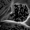 ���������� ������, ���� ������� Misha, 47 ���, ������������ ��� ������, ����� � ���������, c�������� ���������