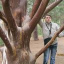 ���������� ������ ���, ���� ������� Chichkan2014, 42 ����, ������������ ��� ������