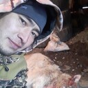 ���������� ���������, ���� ������� Megnas, 35 ���, ������������ ��� ������, ����� � ���������, c�������� ���������