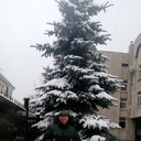 ���������� �������, ���� ������� �����, 37 ���, ������������ ��� ������