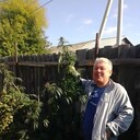 ���������� ������, ���� ������� �������, 41 ���, ������������ ��� ������, ����� � ���������