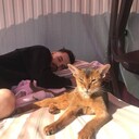 ���������� ������, ���� ������� ��������, 27 ���, ������������ ��� ������, ����� � ���������