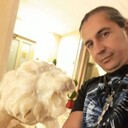 ���������� �������, ���� ������� ����, 55 ���, ������������ ��� ������, ����� � ���������