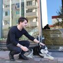 ���������� ������, ���� ������� Dito, 29 ���, ������������ ��� ������, ����� � ���������