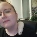  ,   , 22 ,   c 