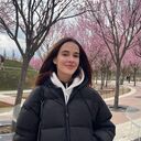 ���������� ������, ���� ������� ��������, 28 ���, ������������ ��� ������, ����� � ���������, c�������� ���������, ���������