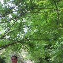 ���������� �������, ���� ������� ������, 31 ���, ������������ ��� ������, ����� � ���������, c�������� ���������, ���������