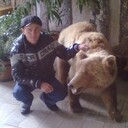 ���������� ����������, ���� ������� ������, 50 ���, ������������ ��� ������, ����� � ���������, c�������� ���������