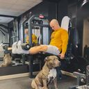 ���������� ���������, ���� ������� ������, 38 ���, ������������ ��� ������, ����� � ���������, c�������� ���������