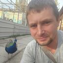 ���������� ���������, ���� ������� �����, 38 ���, ������������ ��� ������, ����� � ���������, c�������� ���������, ���������