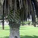 ���������� �����������, ���� ������� �����, 59 ���, ������������ ��� ���������