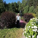 ���������� �����, ���� ������� ����, 75 ���, ������������ ��� ������, ����� � ���������