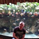   ,   Misha, 36 ,   ,   , c 