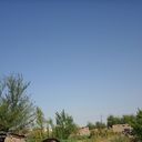  ,   Zahan, 43 ,   